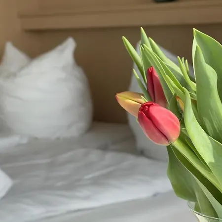 Studioapartment Mit Teilseesicht In Sahlenburg Appartement *